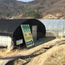 강변삼겹살 이미지