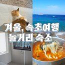 일도노스테이 | 커플 겨울 속초여행 1박2일! 놀거리 / 일도노스테이 숙소