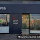 호박동물병원 이미지