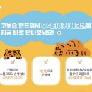 타이거워시 이미지