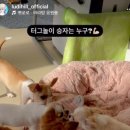 루디앙쥬