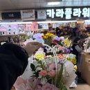 수원역지하도상가 | 수원역 꽃집 추천 가성비 좋고 예쁜 카라플라워 수원역지하도상가