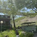 시골밥상 | 충주 맛집 추천, 시골밥상 내돈내산 후기 (주차, 운영시간, 가격)