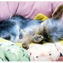 안녕하세요 이미지