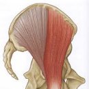 피트니스 더 클럽 이미지