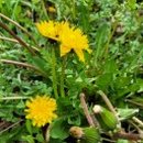 유곡1리 마을회관 이미지