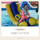 시시푸 | 대구 신상 물놀이캠프닉 어썸월드 대구경산점 성수기 텐트패키지 5번 이용후기