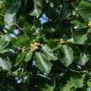 서리풀길 9 이미지