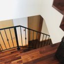 하논의 아침 이미지