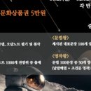 옳은뉴베리타스학원 이미지