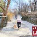 봄 강아지 산책 코스 추천 양천 둘레길 지양산코스