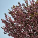 우산천변길 이미지