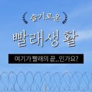 워시엔조이인천청라2동점