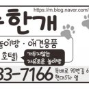 소중한 개 이미지
