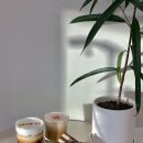 프로머스