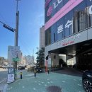 더본 동물병원 | 부산 동물병원 추천 더본동물병원 진료 후기