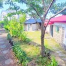 제주마중 협재 이미지