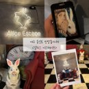 주식회사 레드플레이 | *대구 중구 동성로* 앨리스 이스케이프 / 대구 동성로 놀거리 &#34;동성로 앨리스&#34; 방탈출 카페 후기