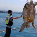 푸른바다 이미지