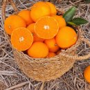 승연농장 이미지