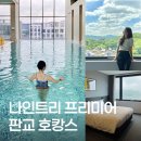 나인트리 프리미어 판교 호텔 수영장 헬스장 호캉스 후기