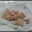 돌참치 이미지