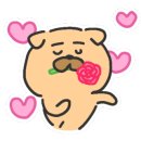 커튼오다 이미지
