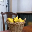 게스트하우스 노랑벽 이미지