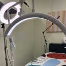 앨리스브로우 이미지