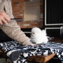 펫부띠끄 이미지