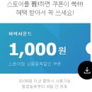 세틀러(SETTLER) 이미지