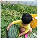 효동농장 이미지