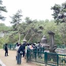 세종초등학교 이미지