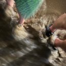 카이브 부산송정3호점 이미지