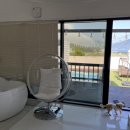 엘시아 애견풀빌라 이미지