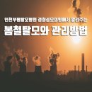 경희성모의원 이미지