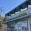 연소담 | 강릉 연소담 자쿠지 독채 풀빌라 키즈 펜션 내돈내산 후기