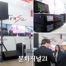 트루직 이미지