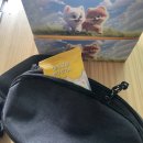 마스코타 펫 이미지