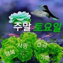 팀미음 이미지