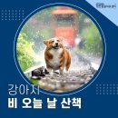 우산동물병원 이미지