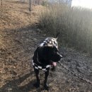 현무체육공원 이미지