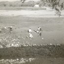 대구근대역사관 이미지