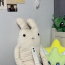 스마트 | 신생아부터 성인까지 가능한 “아가드 베이비그로우 스마트 키재기”후기