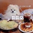 번영로L | 산본 애견동반 카페 l 쪼랭이랑 오랜만에 또 간 파피오💗