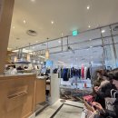 초콜릿케이크(CHOCOLATE CAKE) | 도쿄 우에노 하브스 HARBS 런치 크레이프 케이크 가격 메뉴 추천