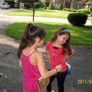 복실강아지 이미지