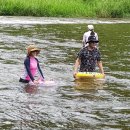 내리계곡 솔밭캠핑장 이미지