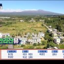 강정동-41 이미지
