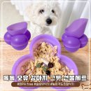 최고의선물 | 특별한 날을 위한 최고의 선물! 독톡 오유 BPA free 강아지식기 선물세트 후기